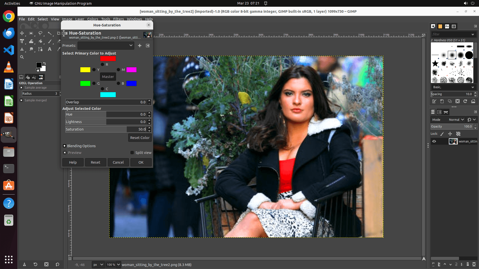 Coasty agent editing a portrait in GIMP