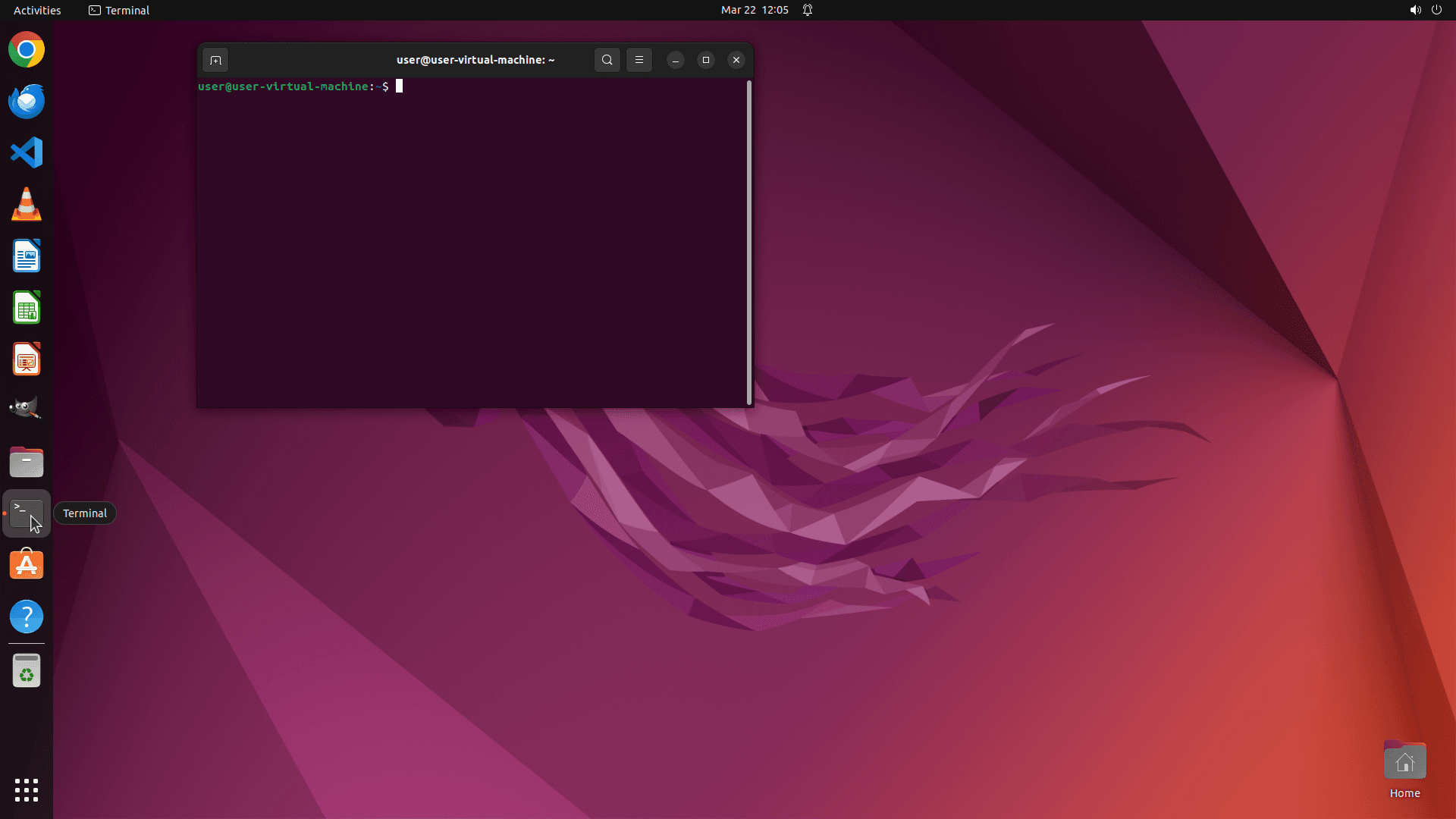 Coasty agent in a desktop terminal